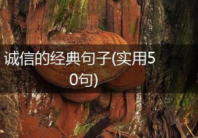 诚信的经典句子(实用50句)