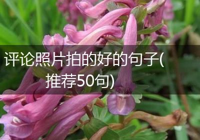 评论照片拍的好的句子(推荐50句)