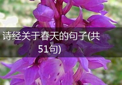 诗经关于春天的句子(共51句)