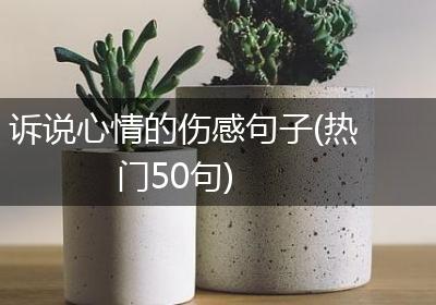 诉说心情的伤感句子(热门50句)