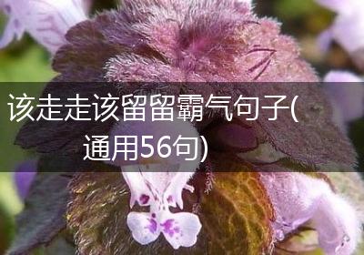 该走走该留留霸气句子(通用56句)