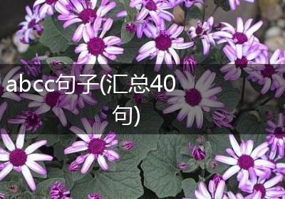abcc句子(汇总40句)