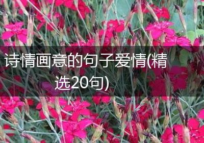 诗情画意的句子爱情(精选20句)