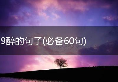 9醉的句子(必备60句)