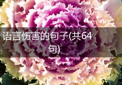 语言伤害的句子(共64句)