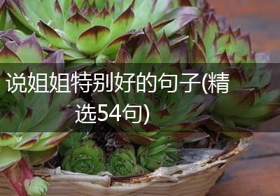 说姐姐特别好的句子(精选54句)