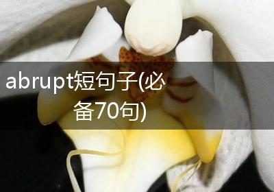 abrupt短句子(必备70句)