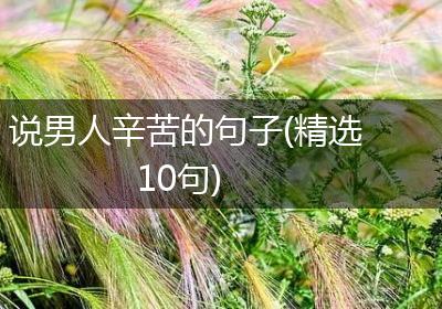 说男人辛苦的句子(精选10句)