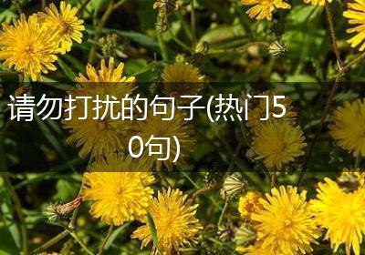 请勿打扰的句子(热门50句)