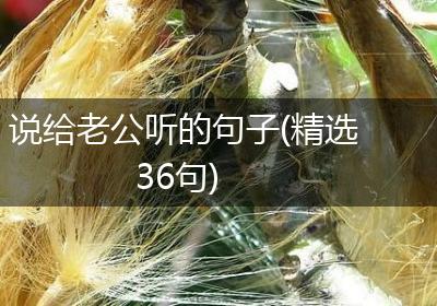 说给老公听的句子(精选36句)