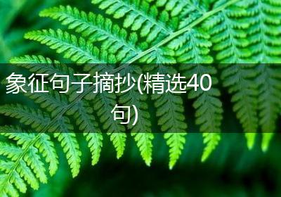 象征句子摘抄(精选40句)