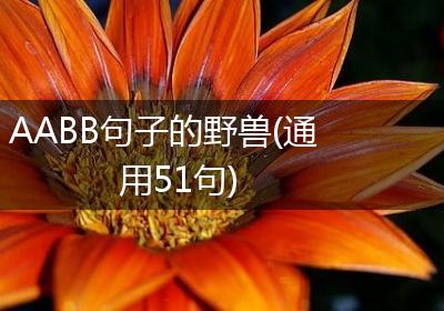 AABB句子的野兽(通用51句)