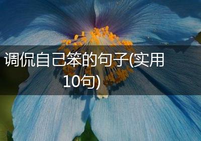 调侃自己笨的句子(实用10句)