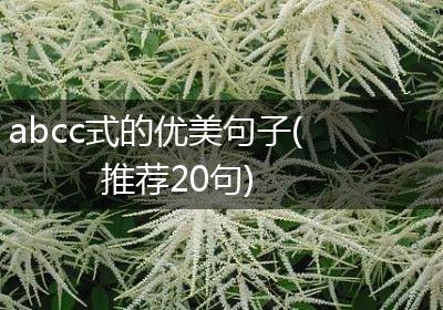 abcc式的优美句子(推荐20句)