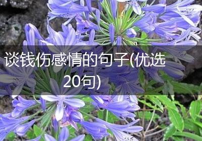 谈钱伤感情的句子(优选20句)