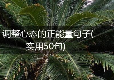 调整心态的正能量句子(实用50句)