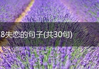 8失恋的句子(共30句)
