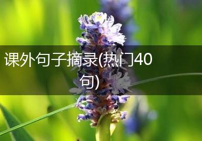 课外句子摘录(热门40句)