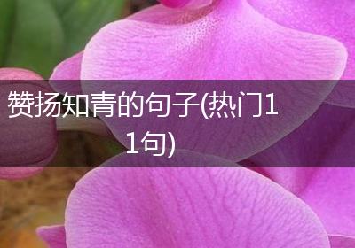 赞扬知青的句子(热门11句)