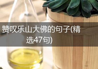 赞叹乐山大佛的句子(精选47句)
