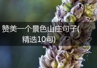 赞美一个景色山庄句子(精选10句)