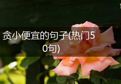 贪小便宜的句子(热门50句)