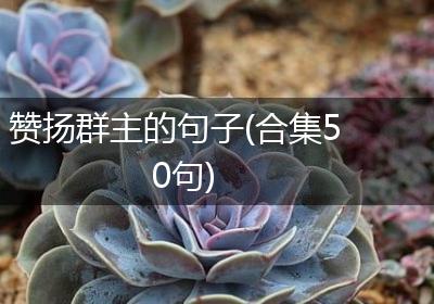 赞扬群主的句子(合集50句)