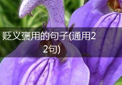 贬义褒用的句子(通用22句)