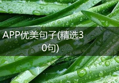 APP优美句子(精选30句)