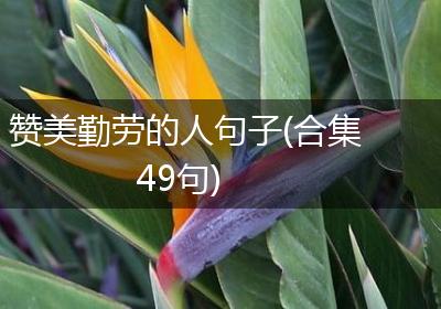 赞美勤劳的人句子(合集49句)