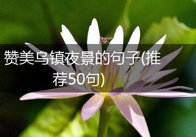 赞美乌镇夜景的句子(推荐50句)