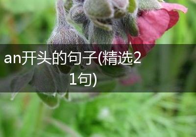 an开头的句子(精选21句)
