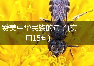 赞美中华民族的句子(实用15句)