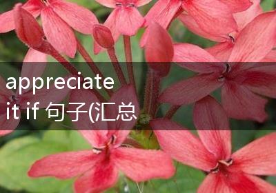 appreciate it if 句子(汇总57句)