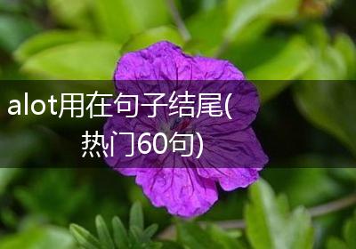 alot用在句子结尾(热门60句)