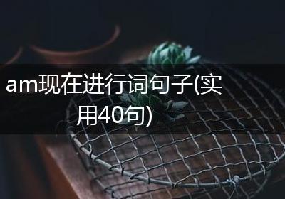 am现在进行词句子(实用40句)