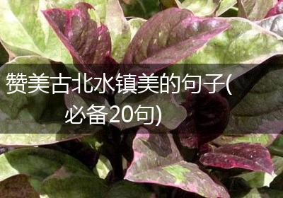 赞美古北水镇美的句子(必备20句)