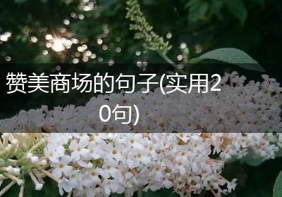赞美商场的句子(实用20句)
