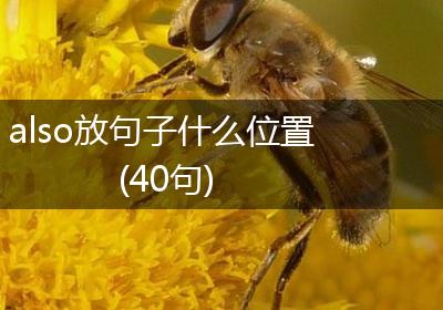 also放句子什么位置(40句)