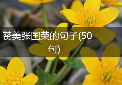 赞美张国荣的句子(50句)