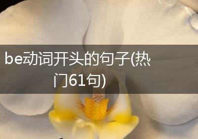 be动词开头的句子(热门61句)