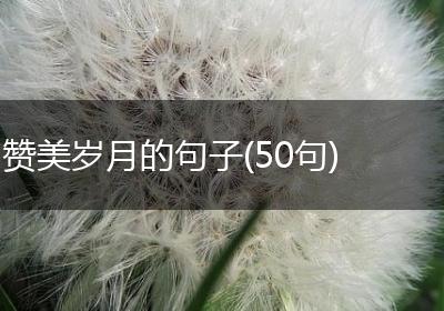 赞美岁月的句子(50句)