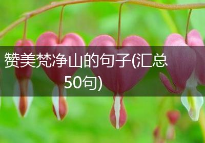 赞美梵净山的句子(汇总50句)