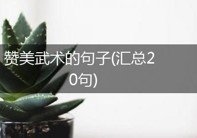 赞美武术的句子(汇总20句)