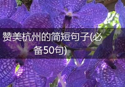 赞美杭州的简短句子(必备50句)