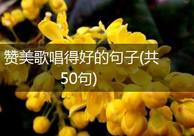 赞美歌唱得好的句子(共50句)