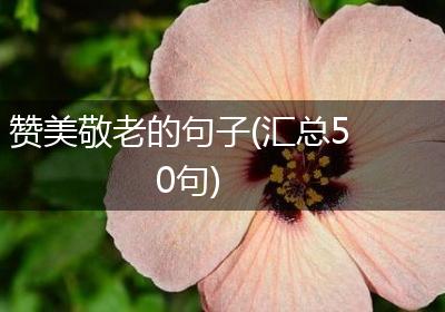 赞美敬老的句子(汇总50句)