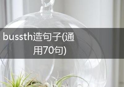 bussth造句子(通用70句)