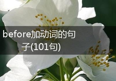 before加动词的句子(101句)