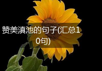 赞美滇池的句子(汇总10句)